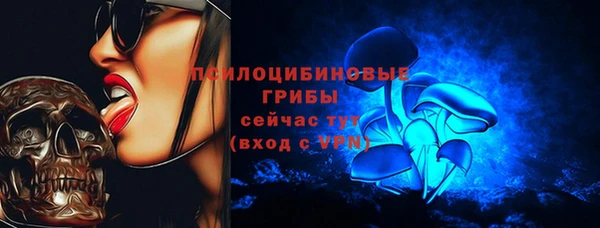 сатива Балахна