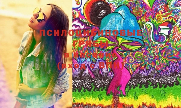 сатива Балахна