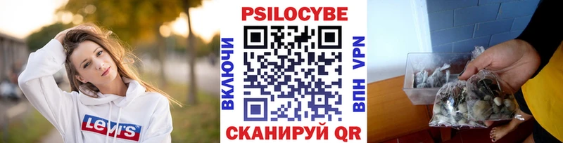 блэк спрут зеркало  как найти наркотики  дарк нет как зайти  Галлюциногенные грибы MAGIC MUSHROOMS  Красный Холм 